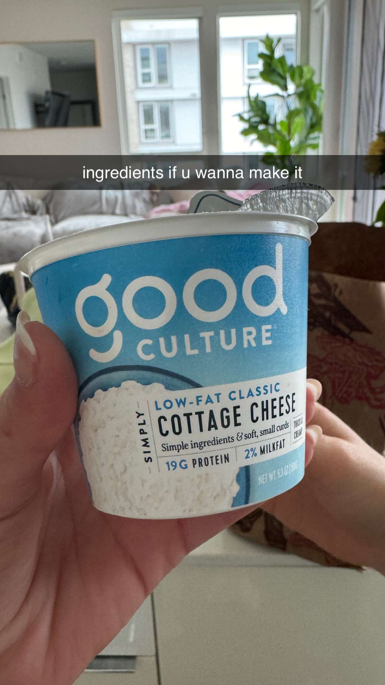 chloerosenbaum snapchat image archive image