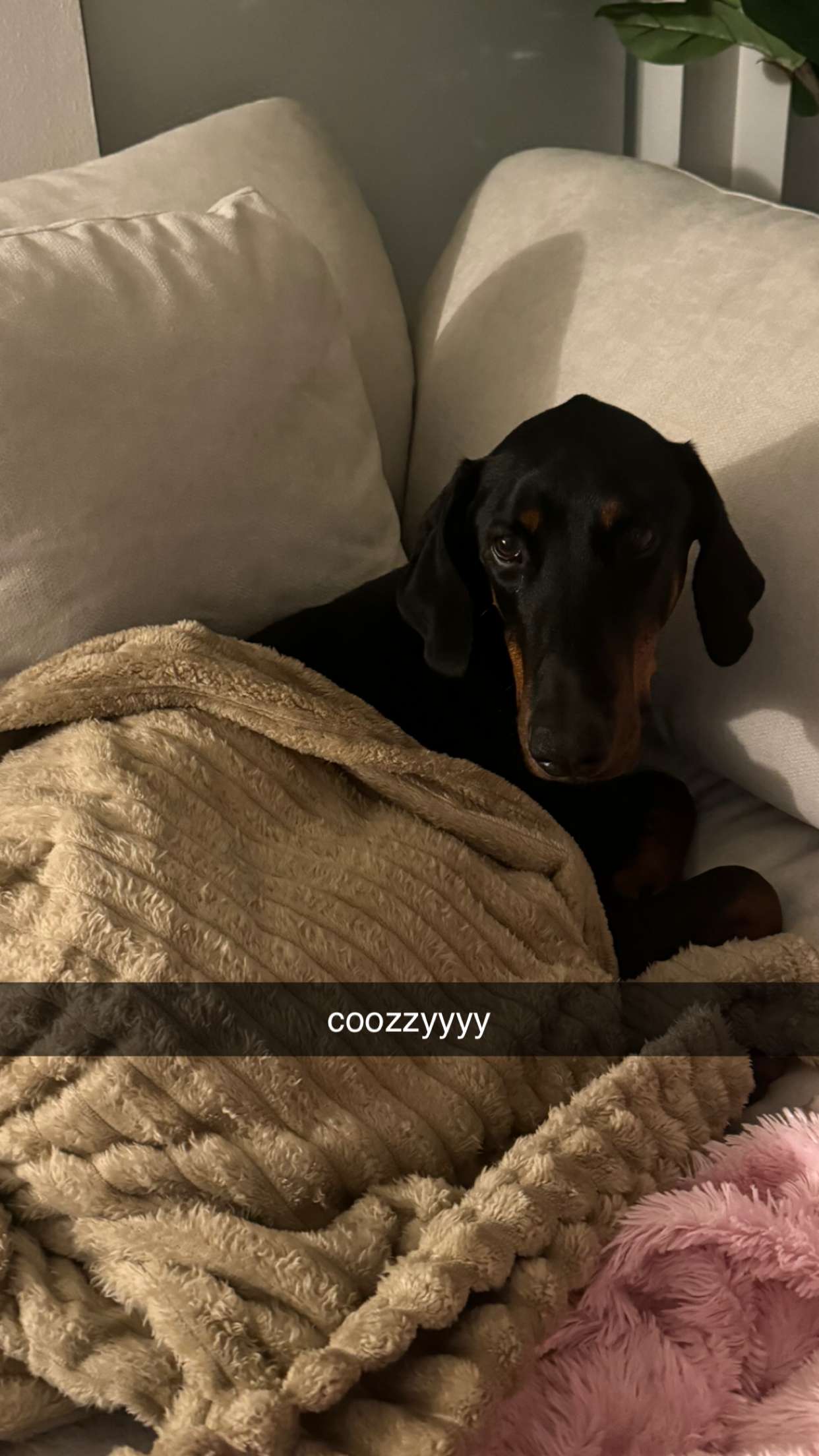 chloerosenbaum snapchat image archive image