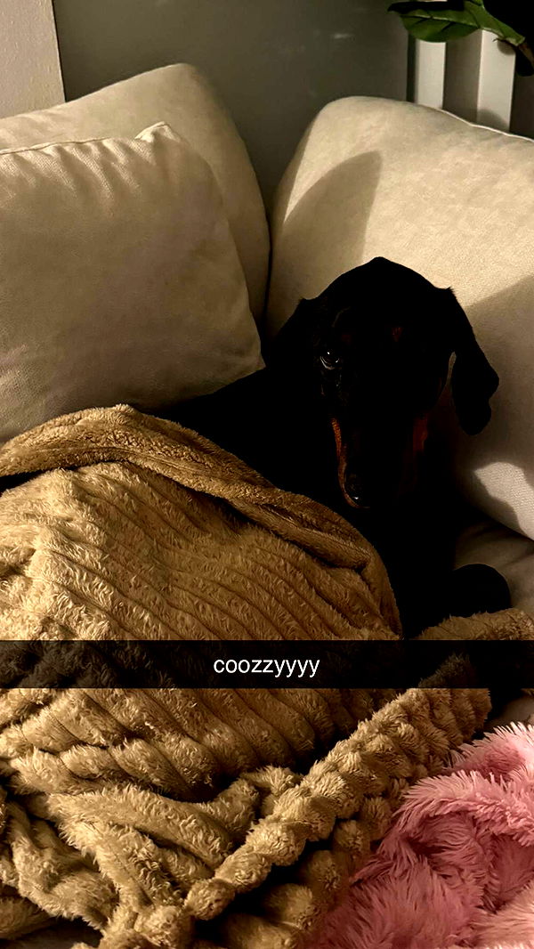 chloerosenbaum image ~ Altpins