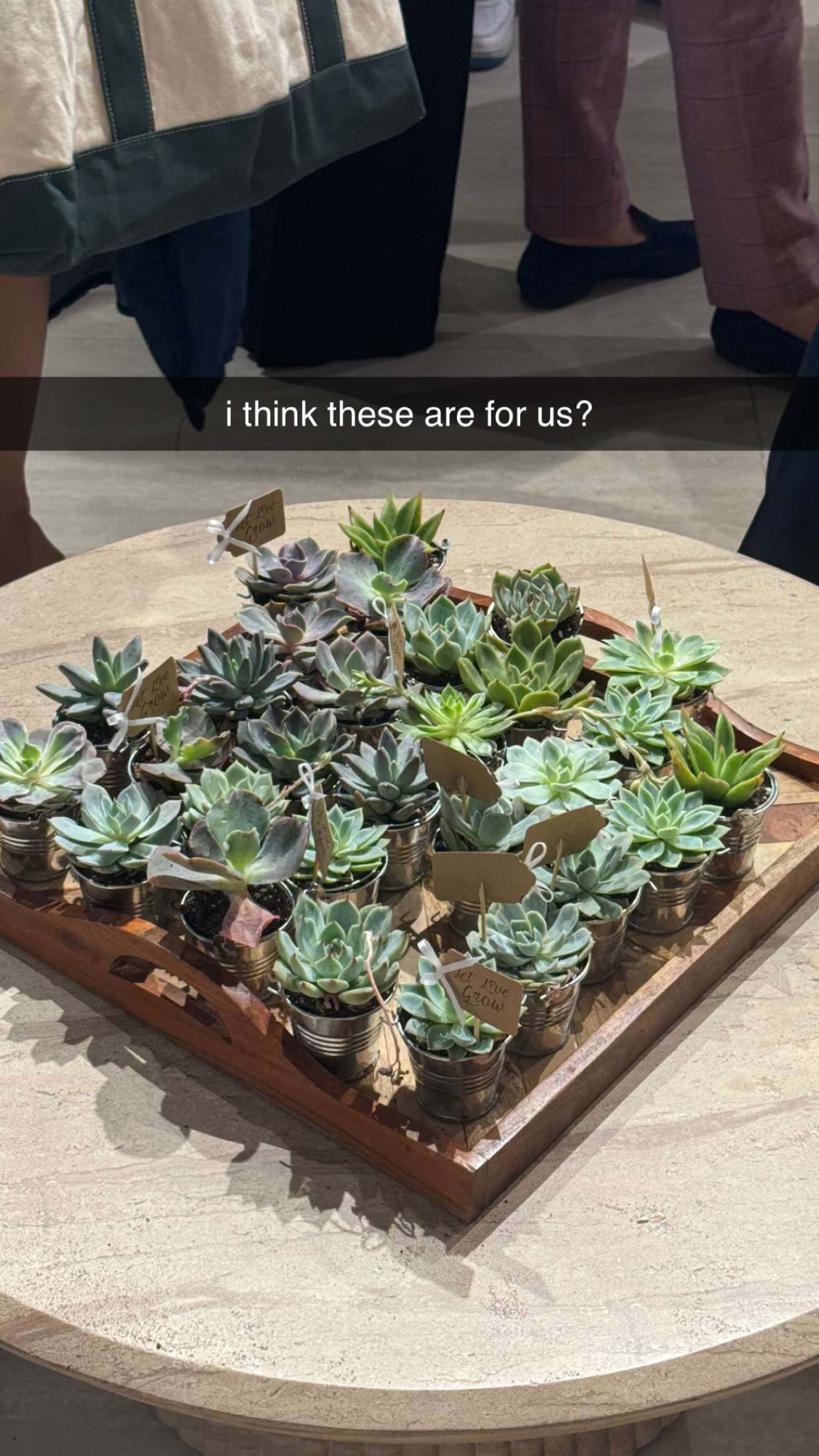 chloerosenbaum snapchat image archive image