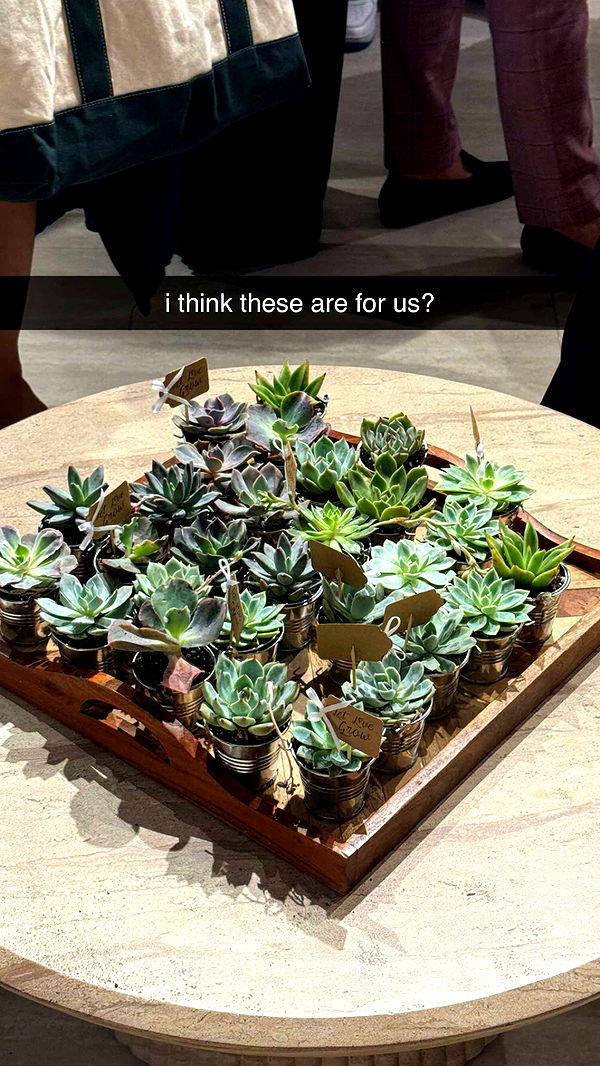 chloerosenbaum image ~ Altpins