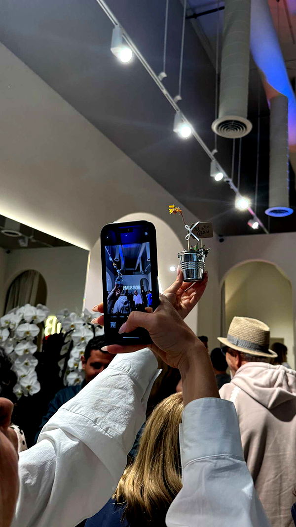 chloerosenbaum image ~ Altpins