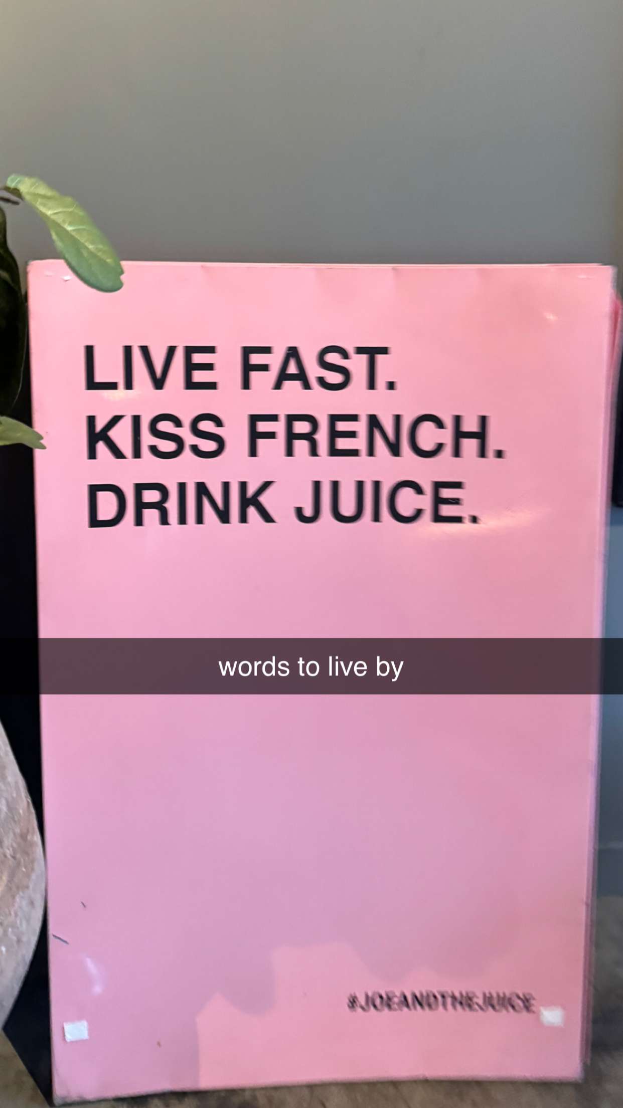 chloerosenbaum snapchat image archive image