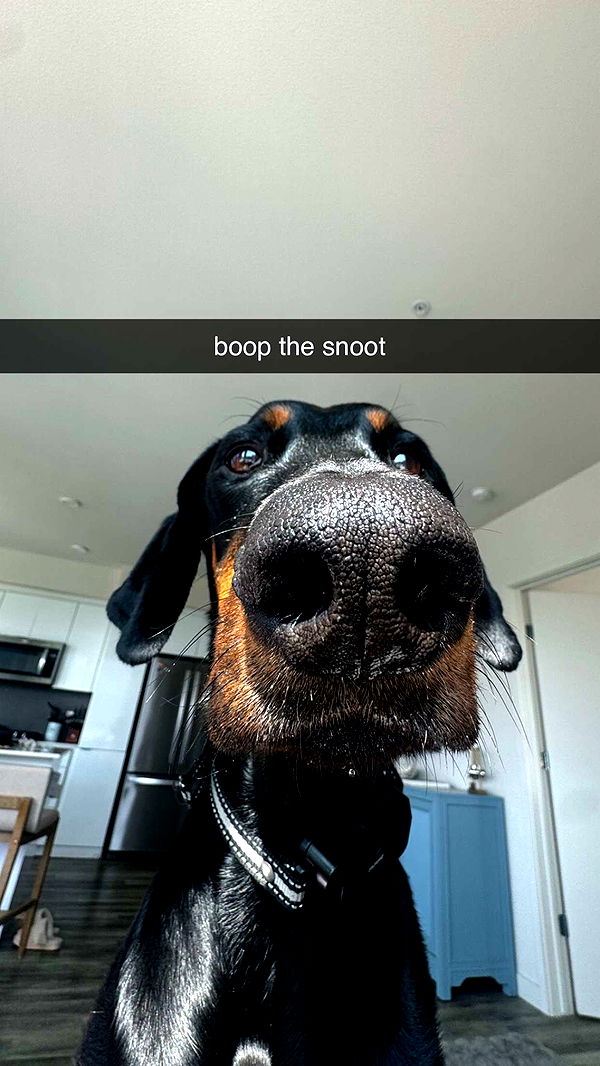 chloerosenbaum image ~ Altpins