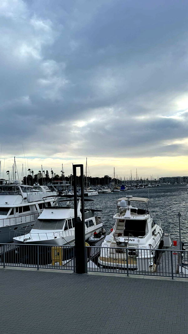 chloerosenbaum image ~ Altpins