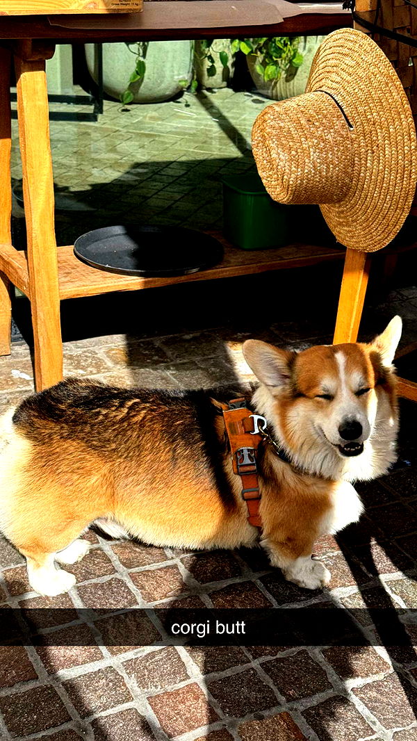 chloerosenbaum image ~ Altpins