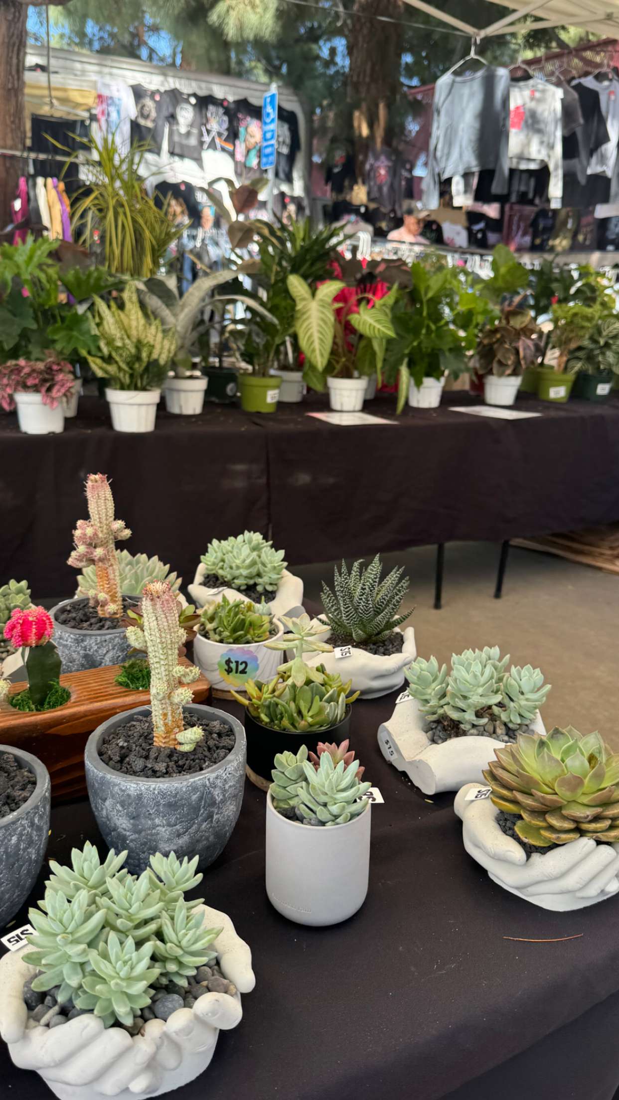 chloerosenbaum snapchat image archive image