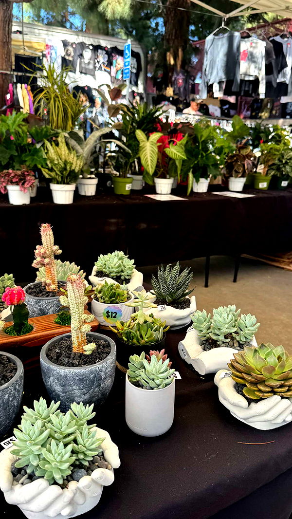 chloerosenbaum image ~ Altpins