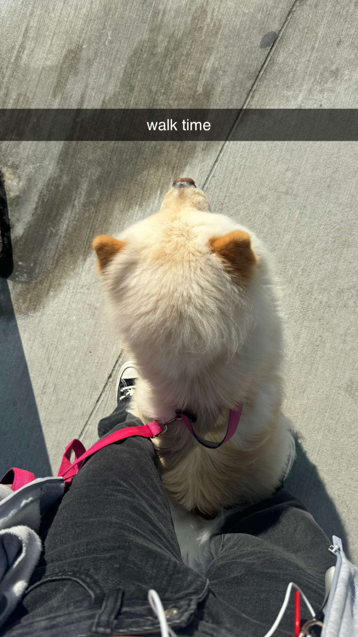 chloerosenbaum snapchat image archive image