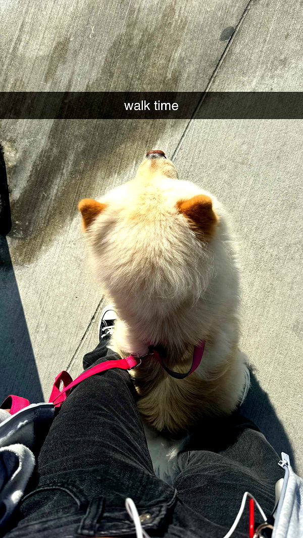 chloerosenbaum image ~ Altpins