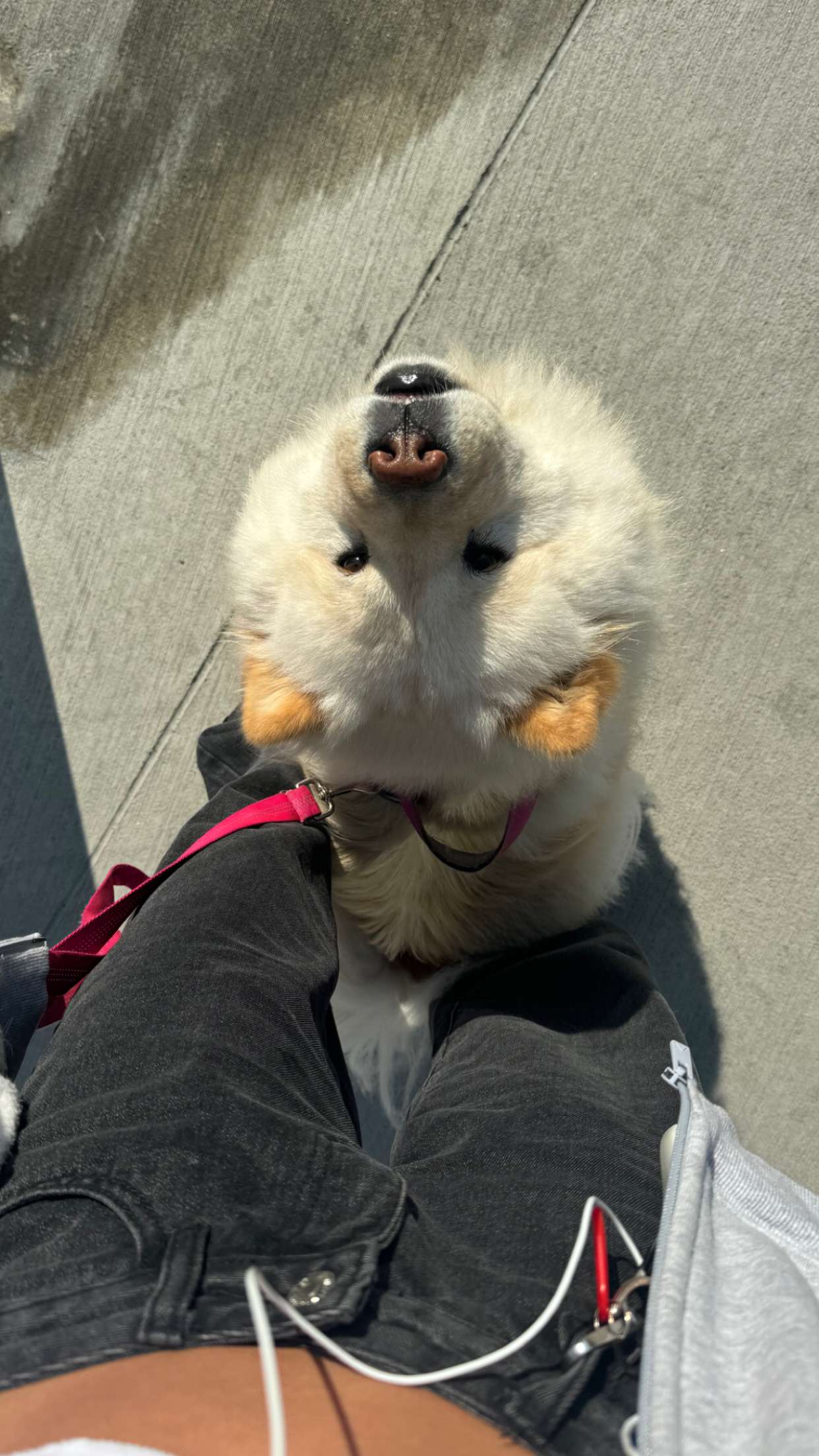 chloerosenbaum snapchat image archive image