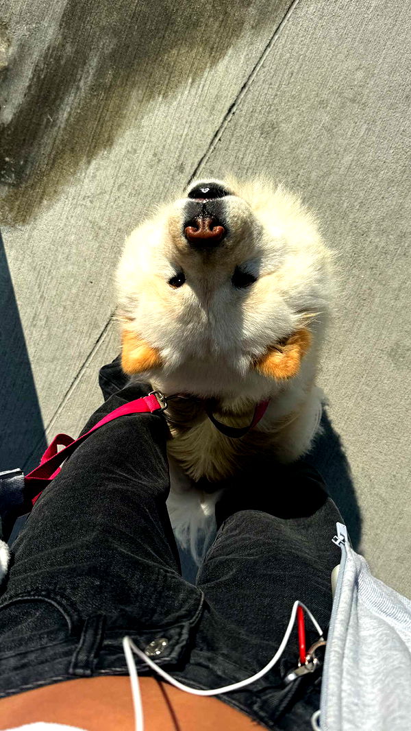 chloerosenbaum image ~ Altpins