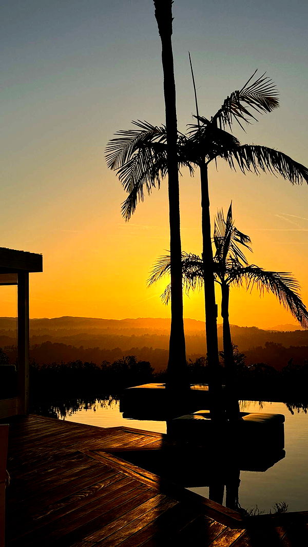 chloerosenbaum image ~ Altpins