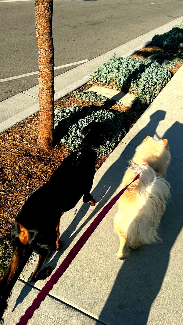 chloerosenbaum image ~ Altpins