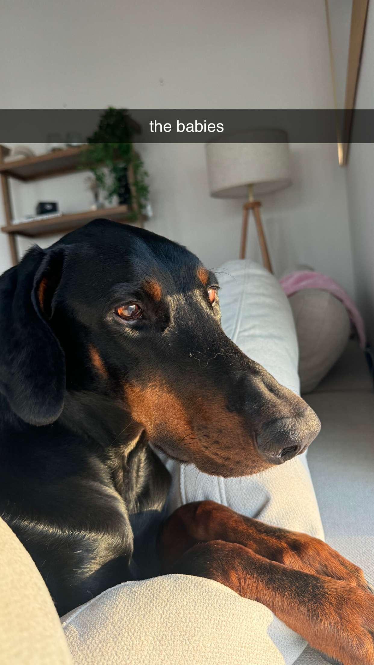 chloerosenbaum snapchat image archive image