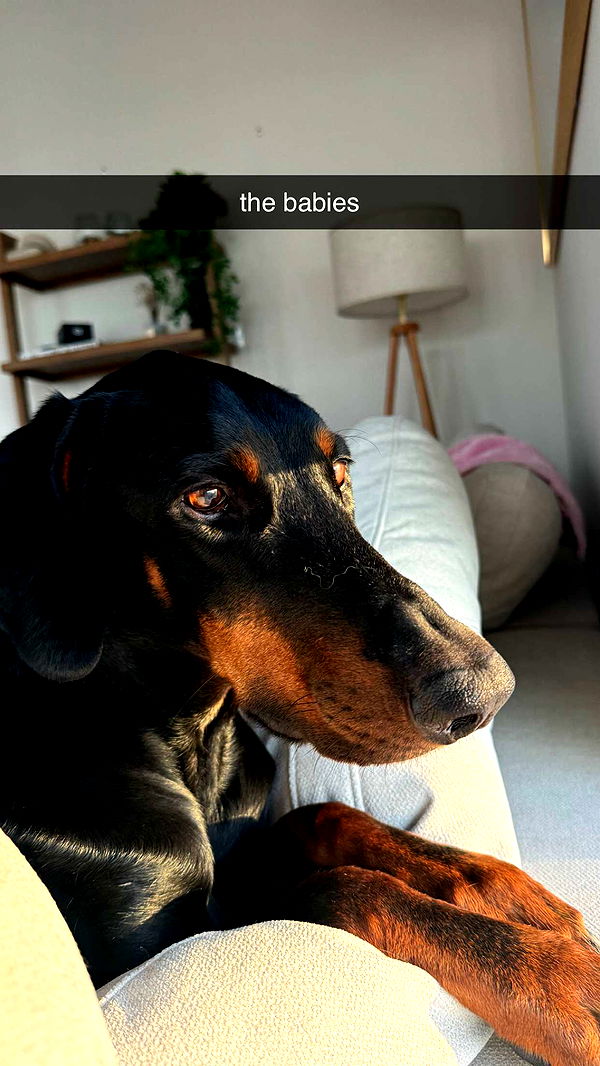 chloerosenbaum image ~ Altpins