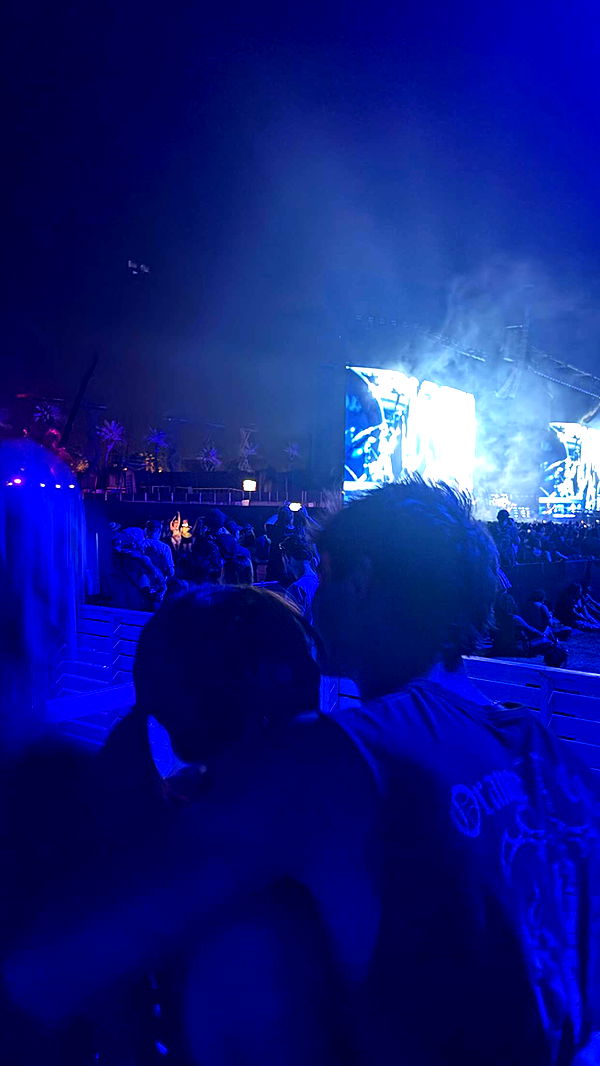 chloerosenbaum image ~ Altpins