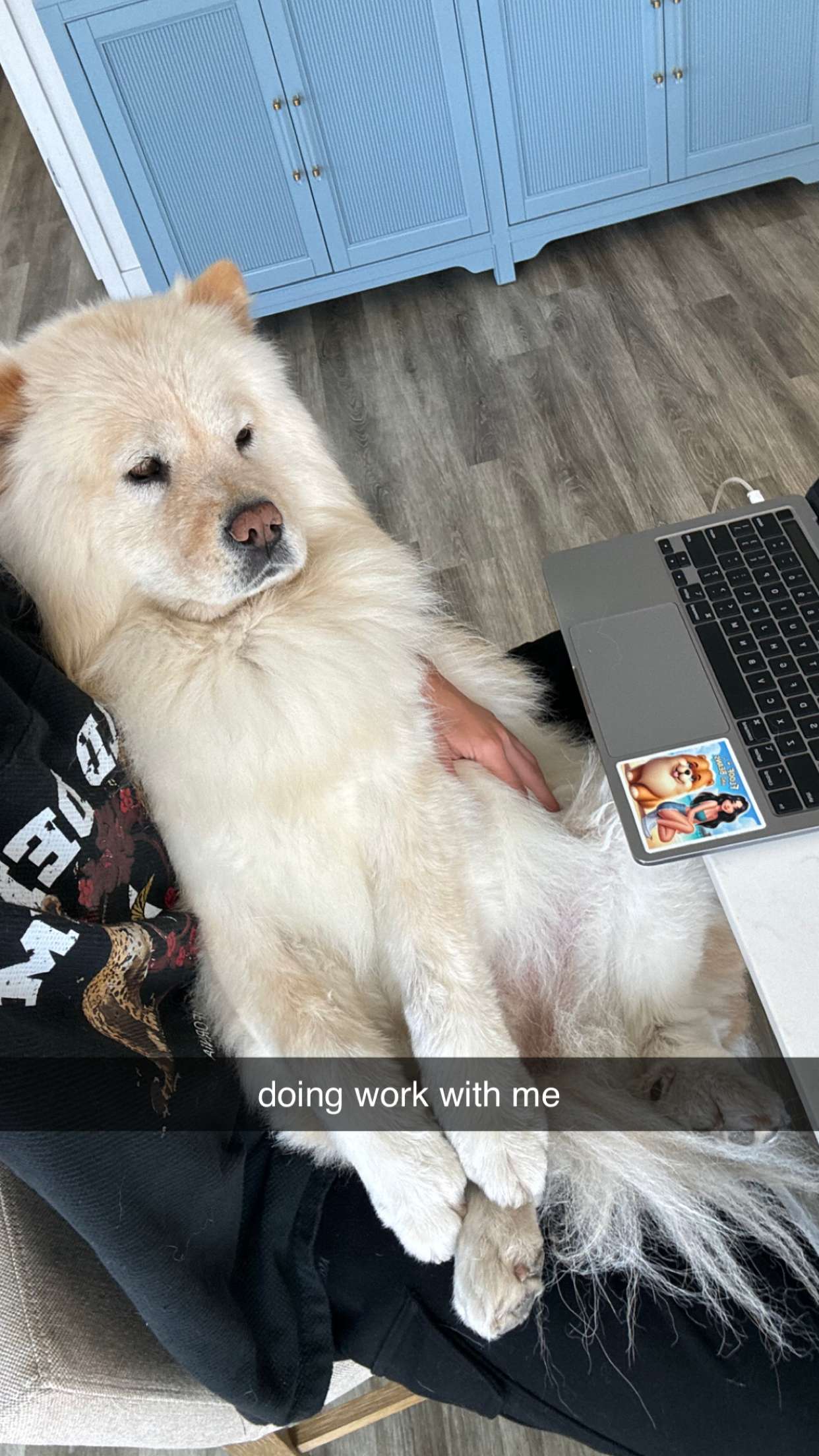 chloerosenbaum snapchat image archive image