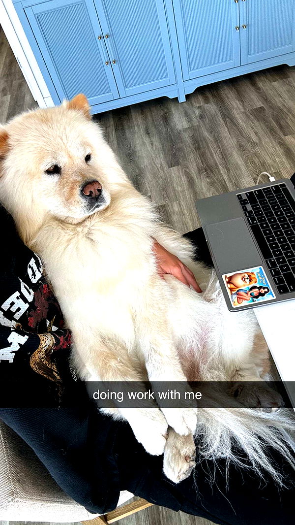 chloerosenbaum image ~ Altpins