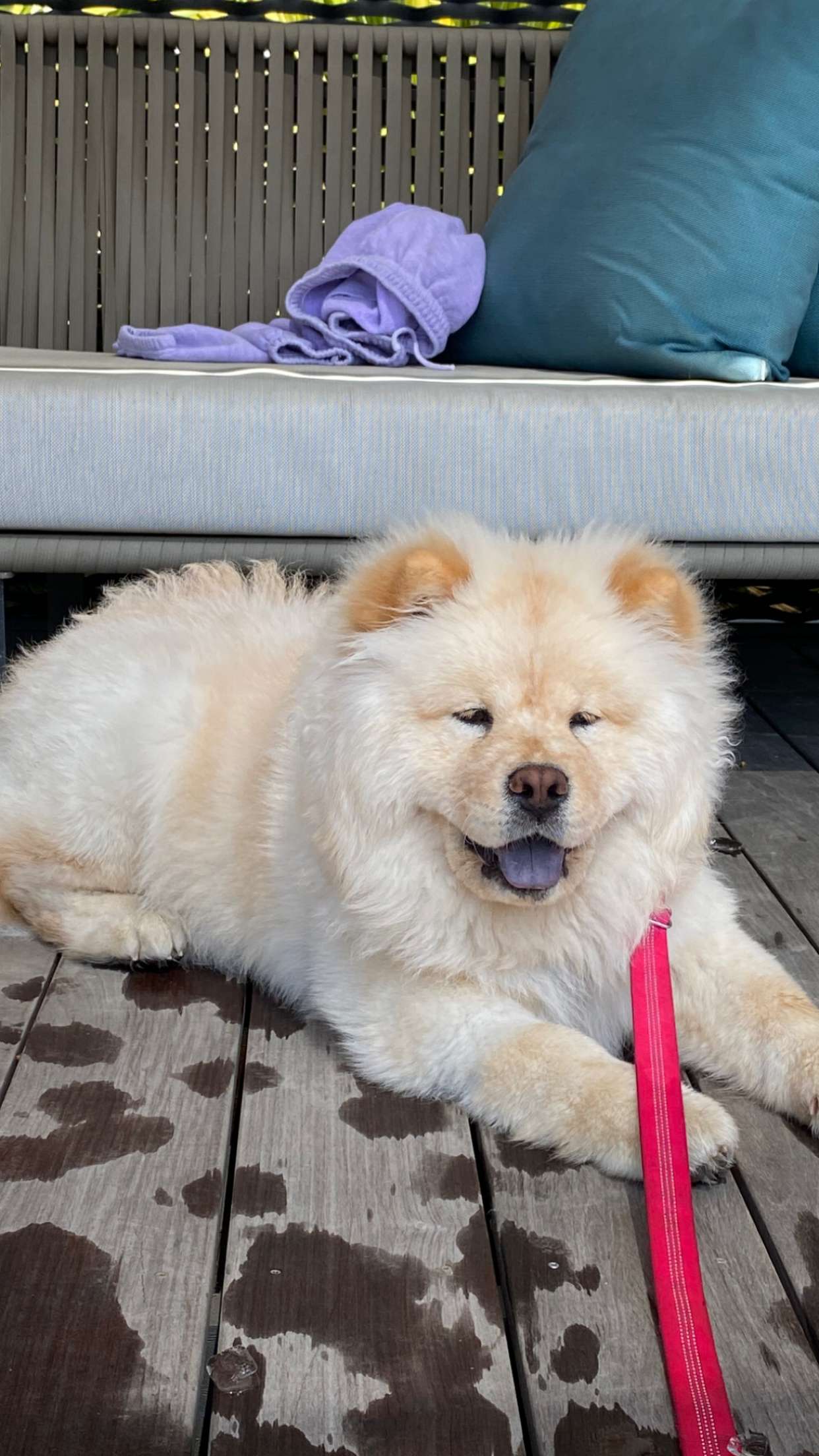 chloerosenbaum snapchat image archive image