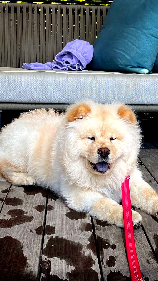 chloerosenbaum image ~ Altpins