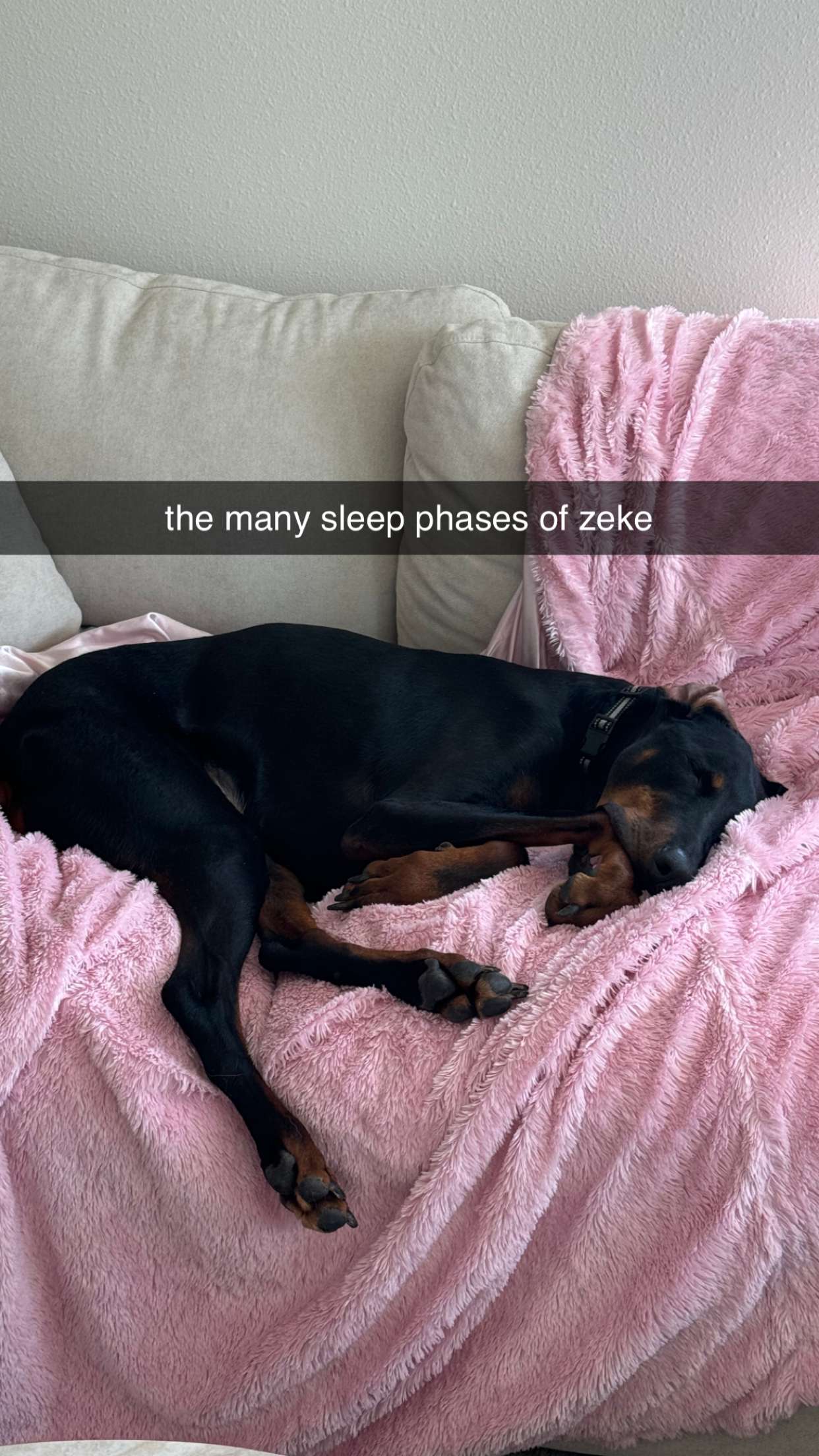 chloerosenbaum snapchat image archive image