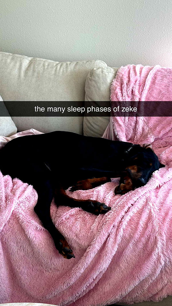 chloerosenbaum image ~ Altpins