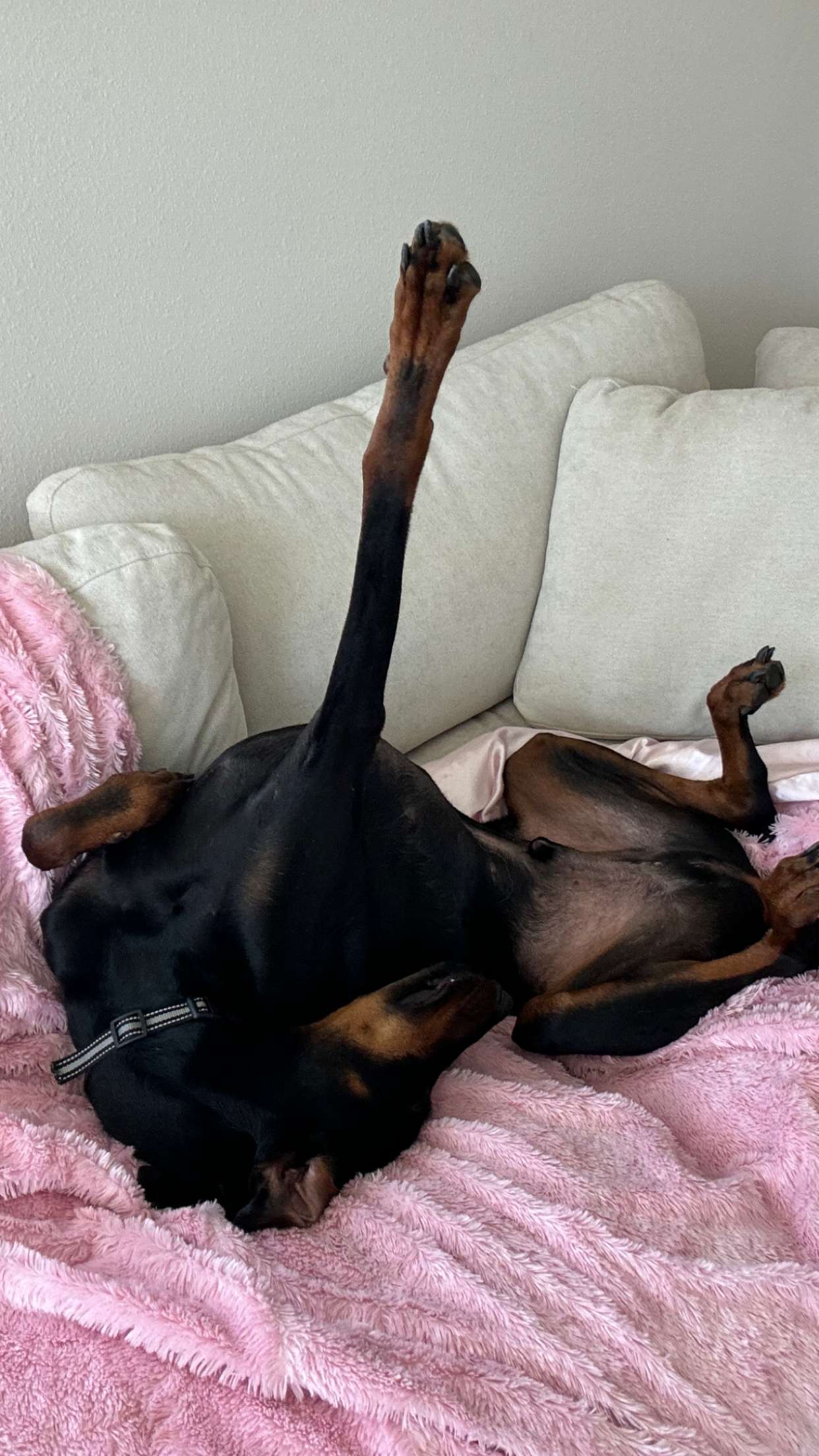 chloerosenbaum snapchat image archive image