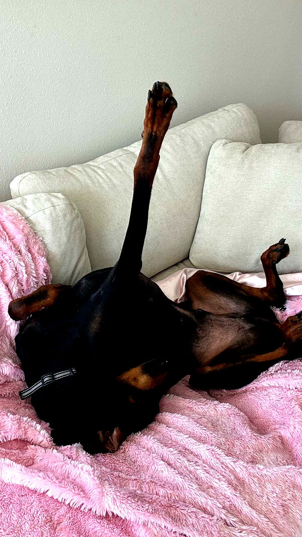 chloerosenbaum image ~ Altpins