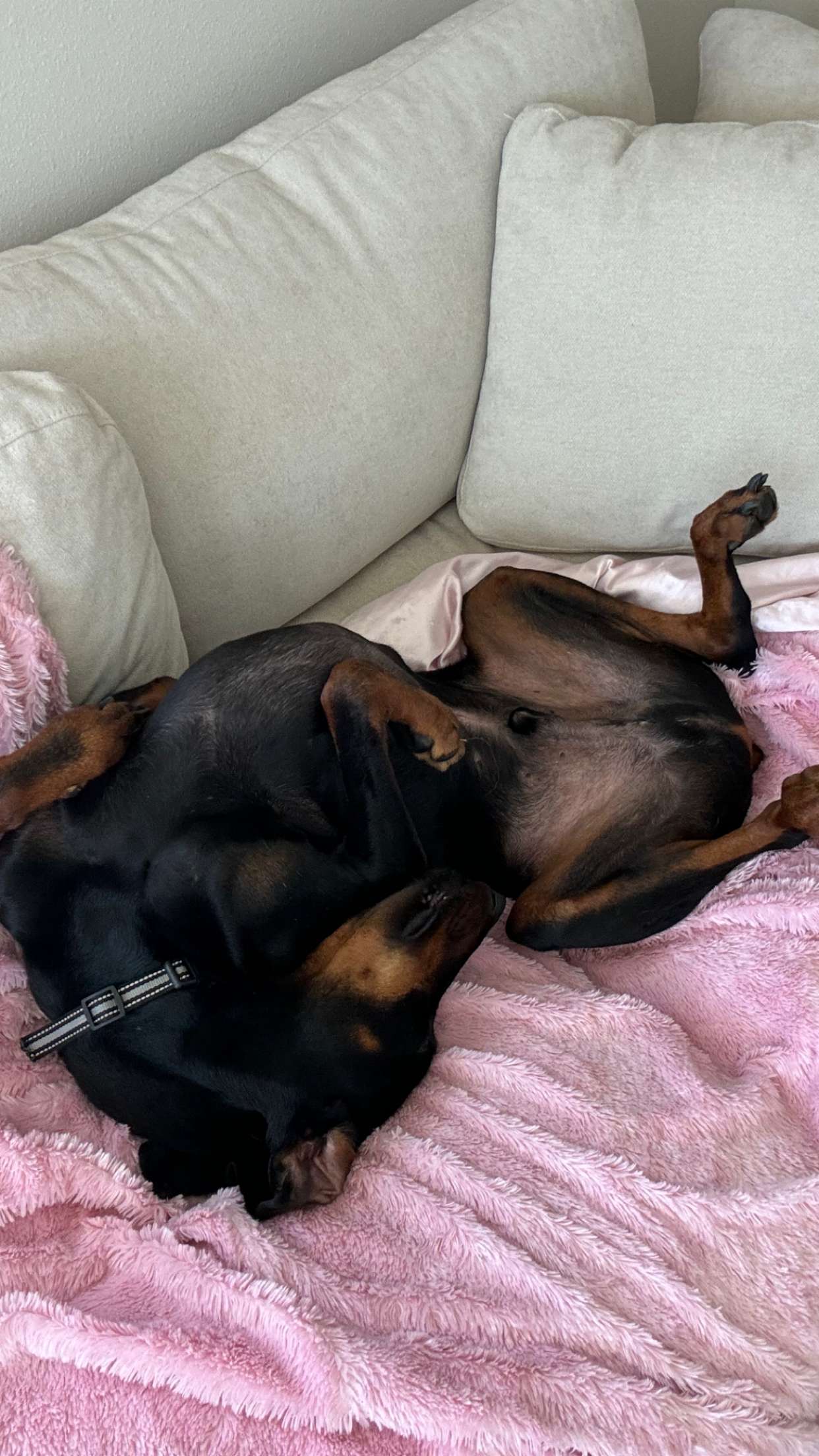 chloerosenbaum snapchat image archive image