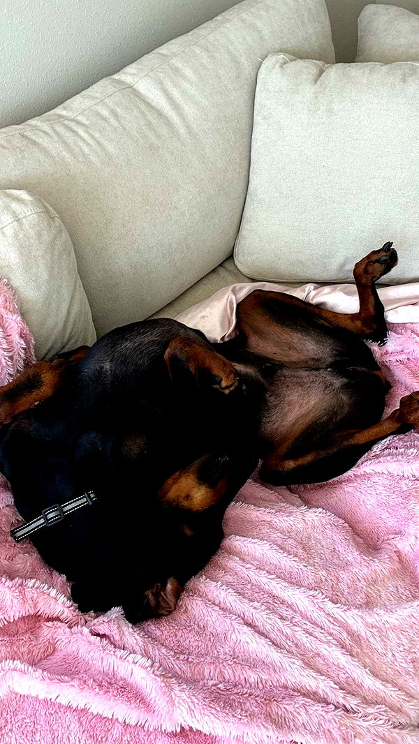 chloerosenbaum image ~ Altpins