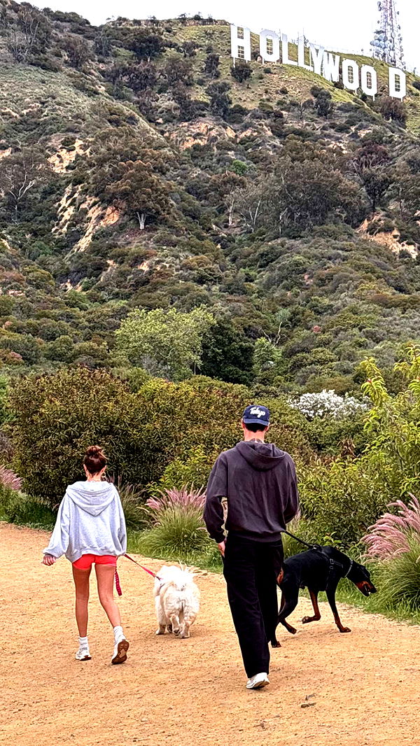 chloerosenbaum image ~ Altpins