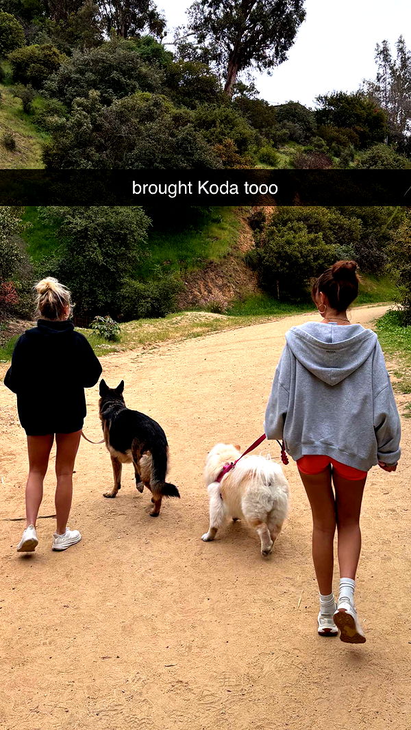 chloerosenbaum image ~ Altpins