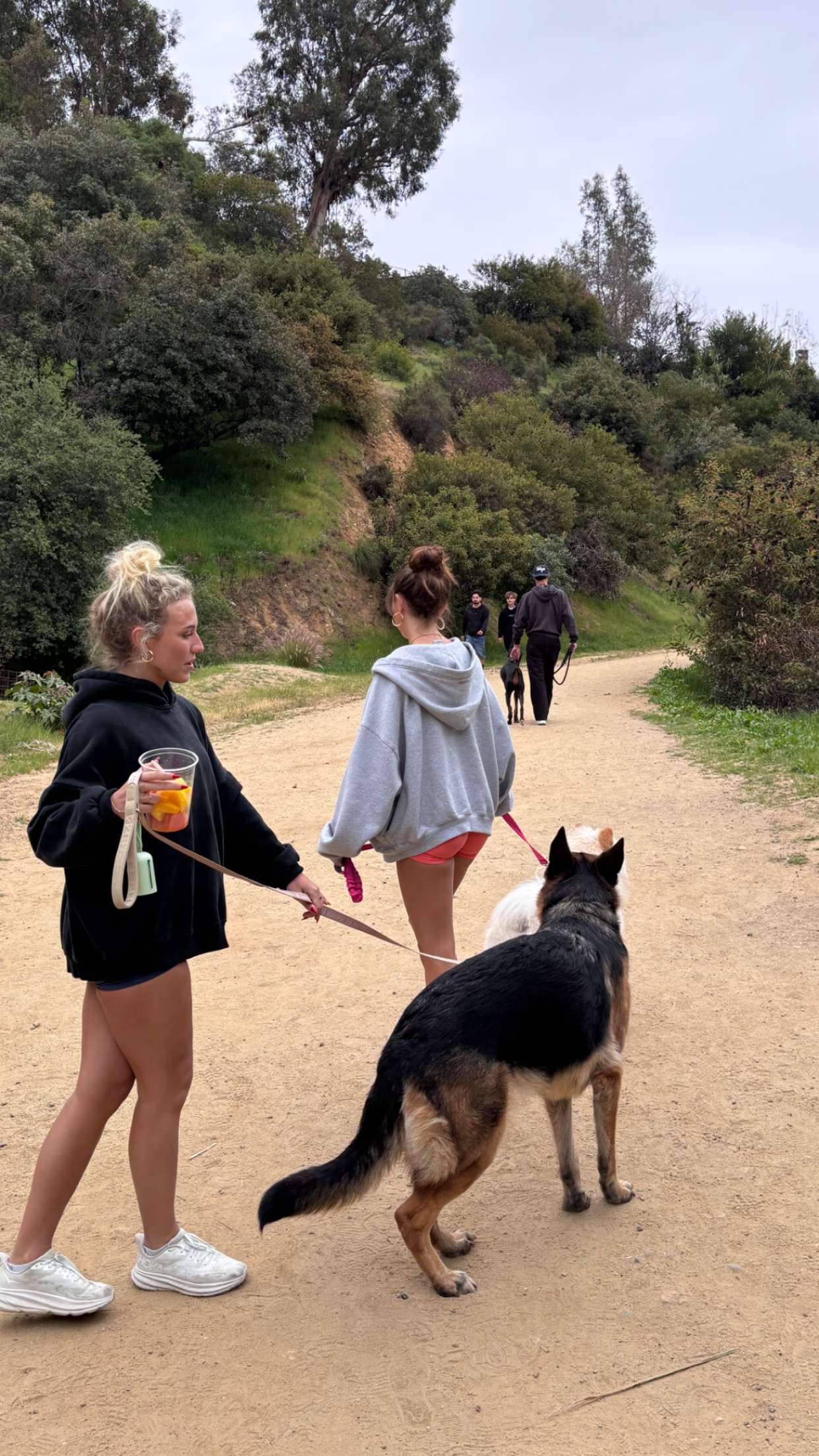 chloerosenbaum snapchat image archive image