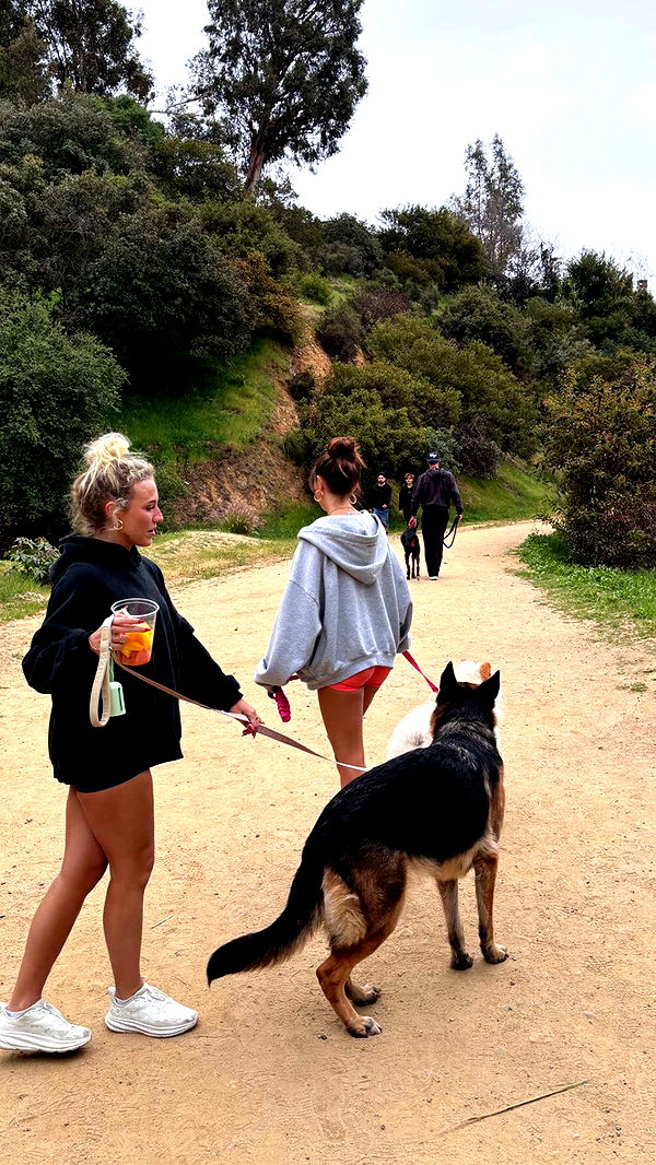 chloerosenbaum image ~ Altpins