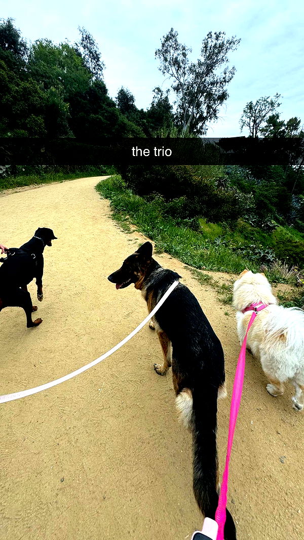 chloerosenbaum image ~ Altpins