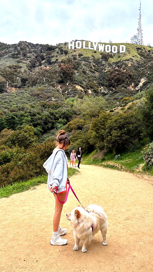 chloerosenbaum image ~ Altpins