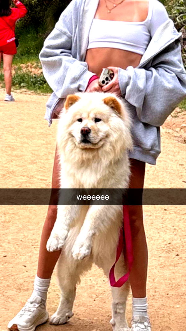 chloerosenbaum image ~ Altpins