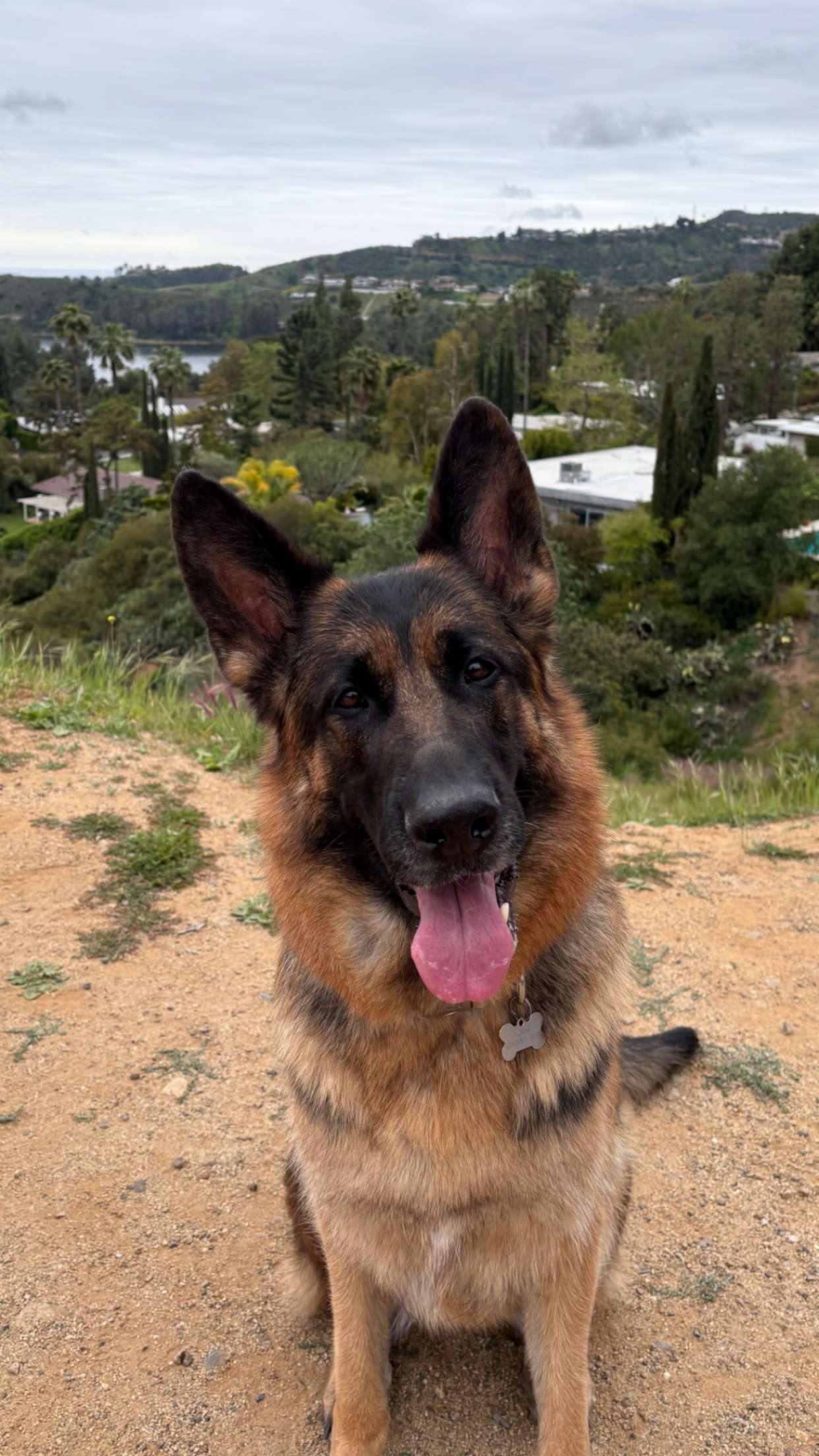 chloerosenbaum snapchat image archive image