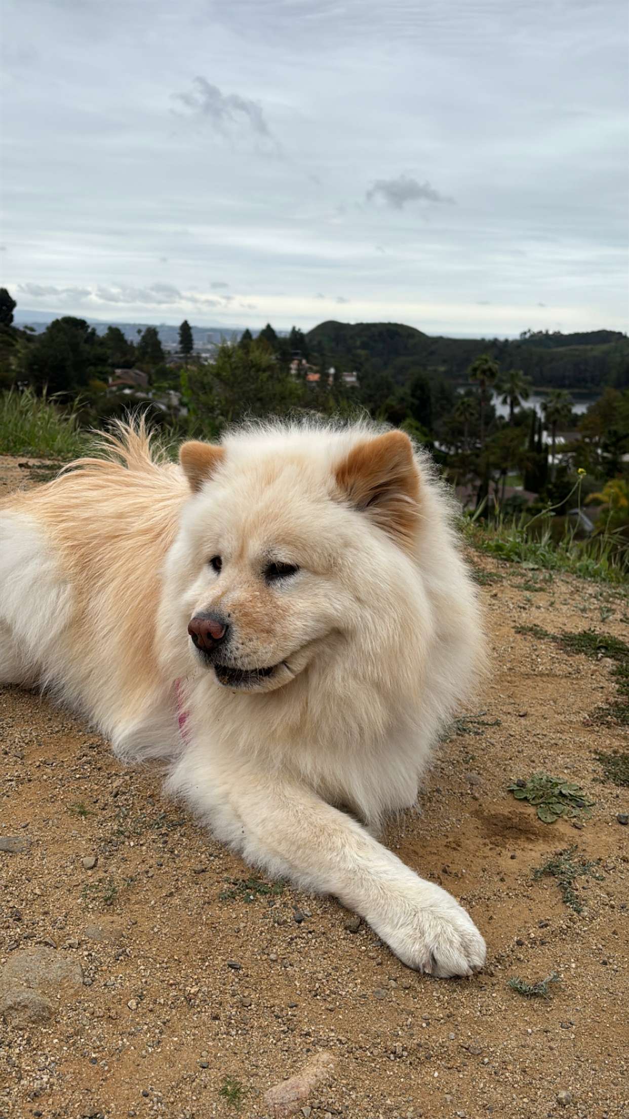 chloerosenbaum snapchat image archive image