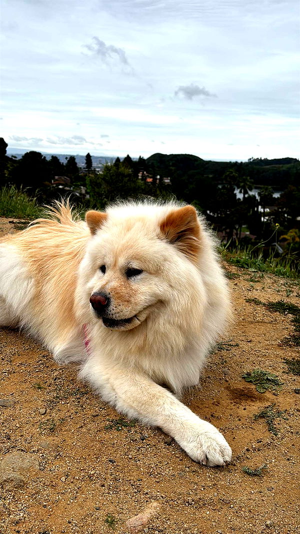 chloerosenbaum image ~ Altpins