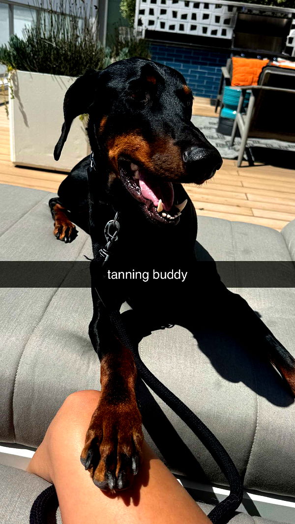 chloerosenbaum image ~ Altpins