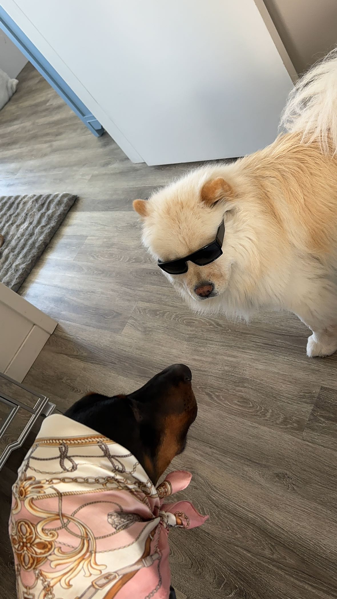 chloerosenbaum snapchat image archive image