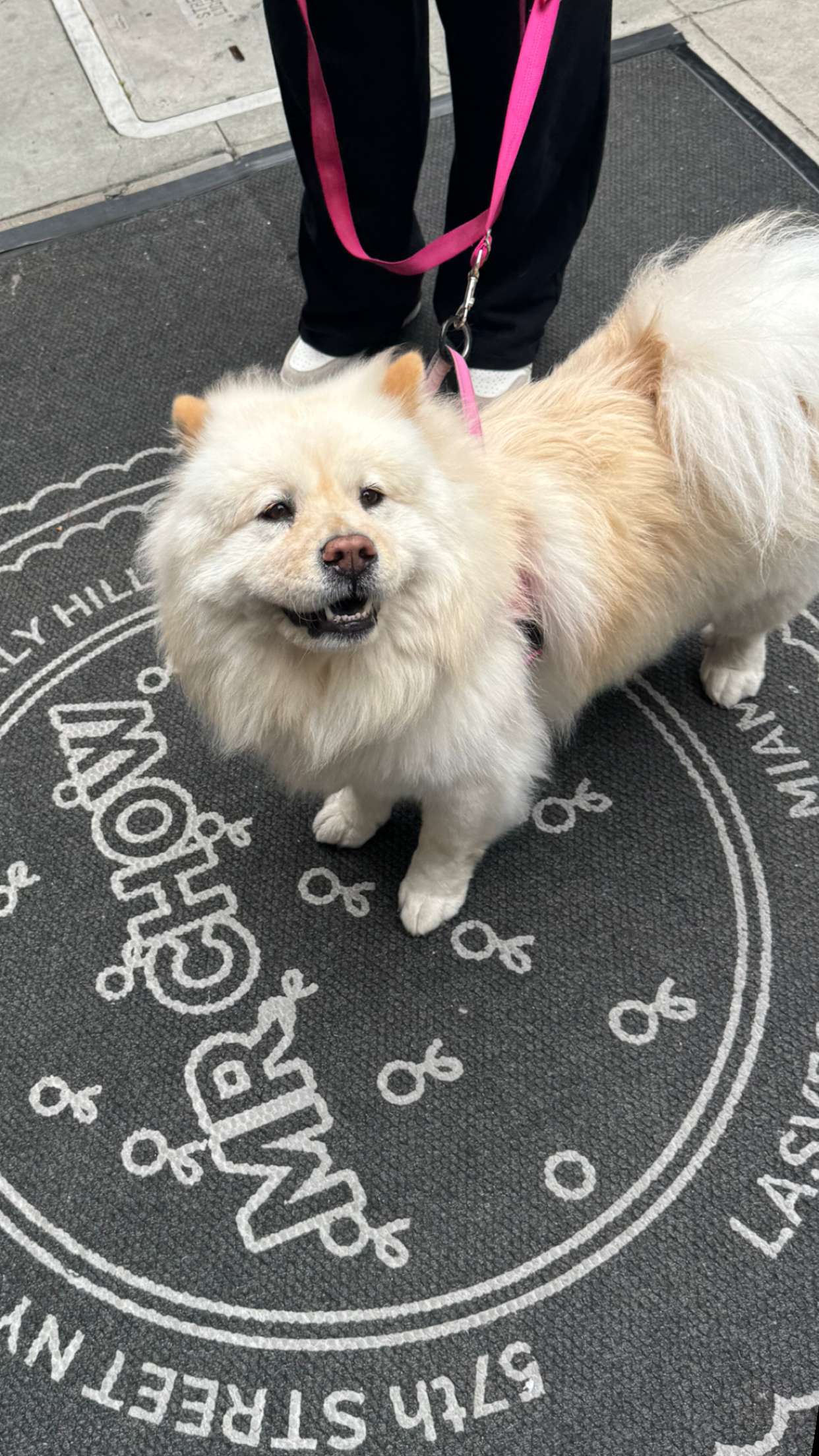 chloerosenbaum snapchat image archive image