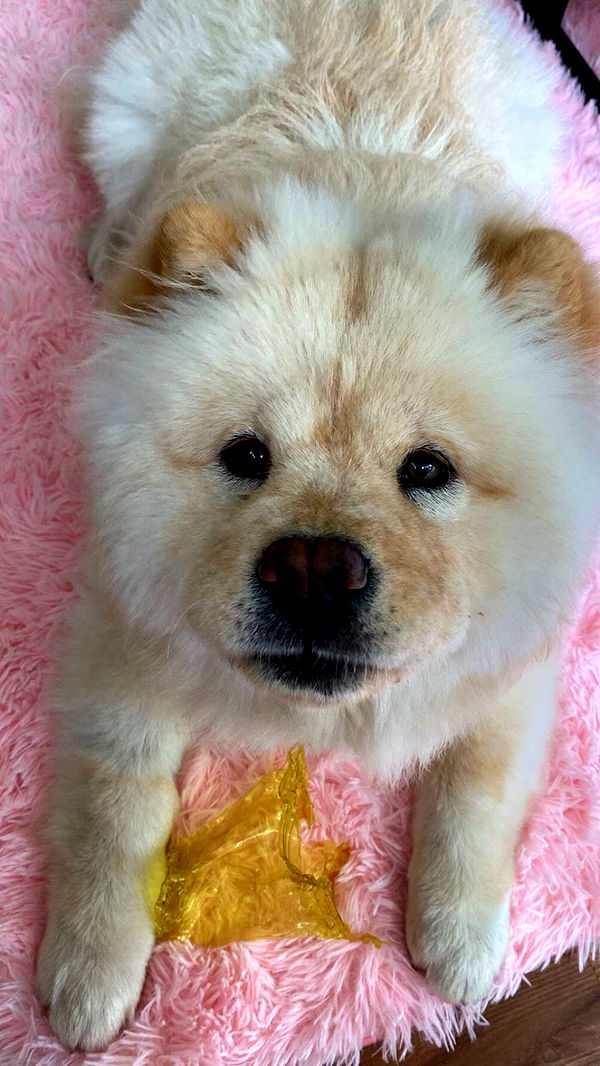 chloerosenbaum image ~ Altpins