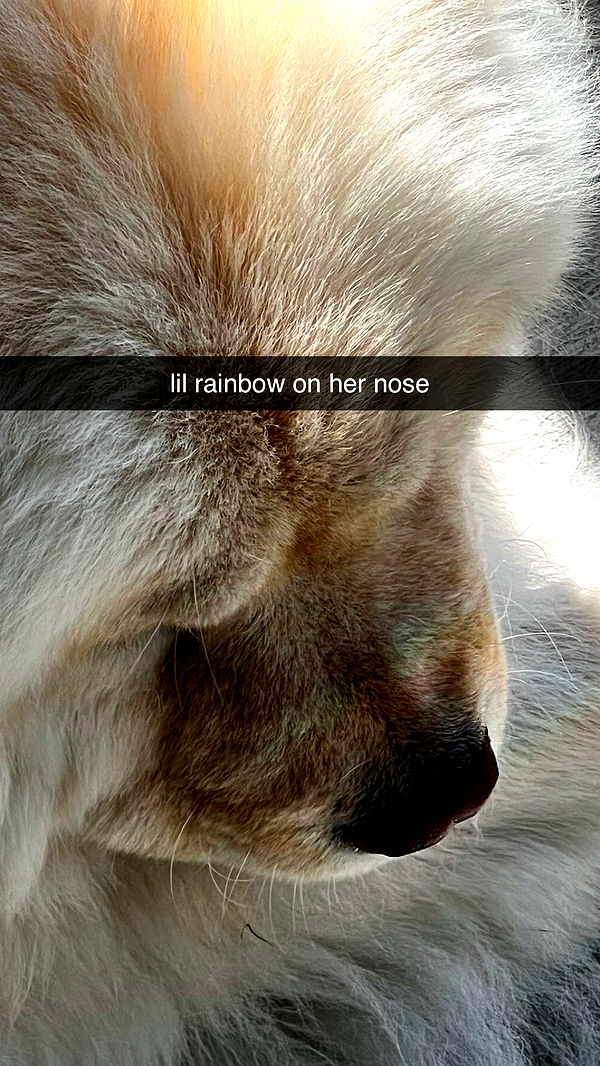 chloerosenbaum image ~ Altpins