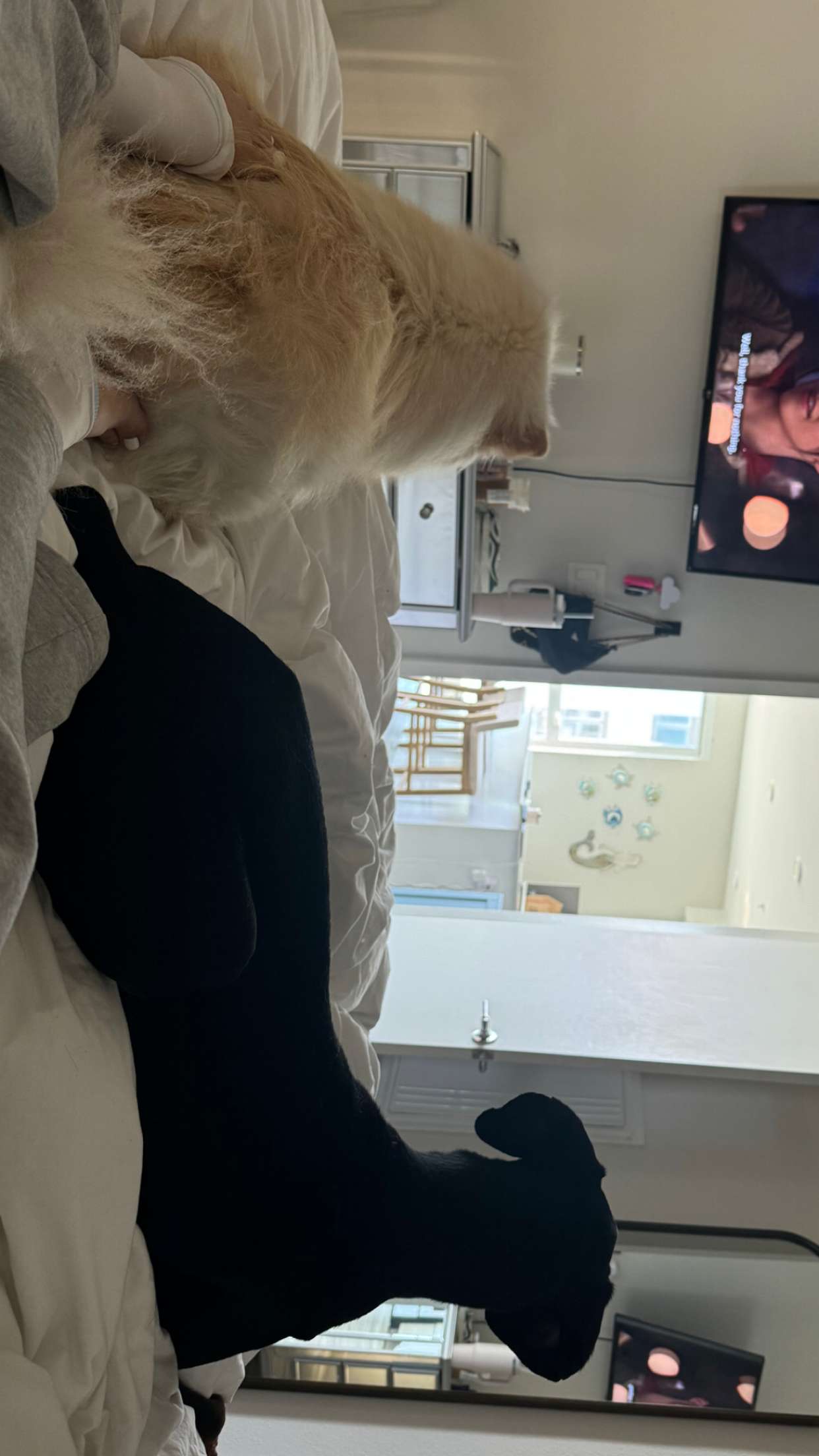 chloerosenbaum snapchat image archive image