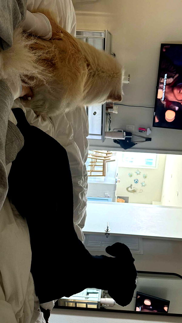 chloerosenbaum image ~ Altpins