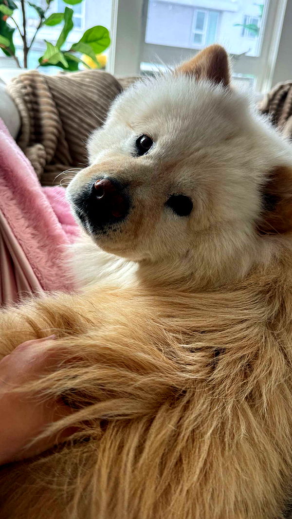 chloerosenbaum image ~ Altpins