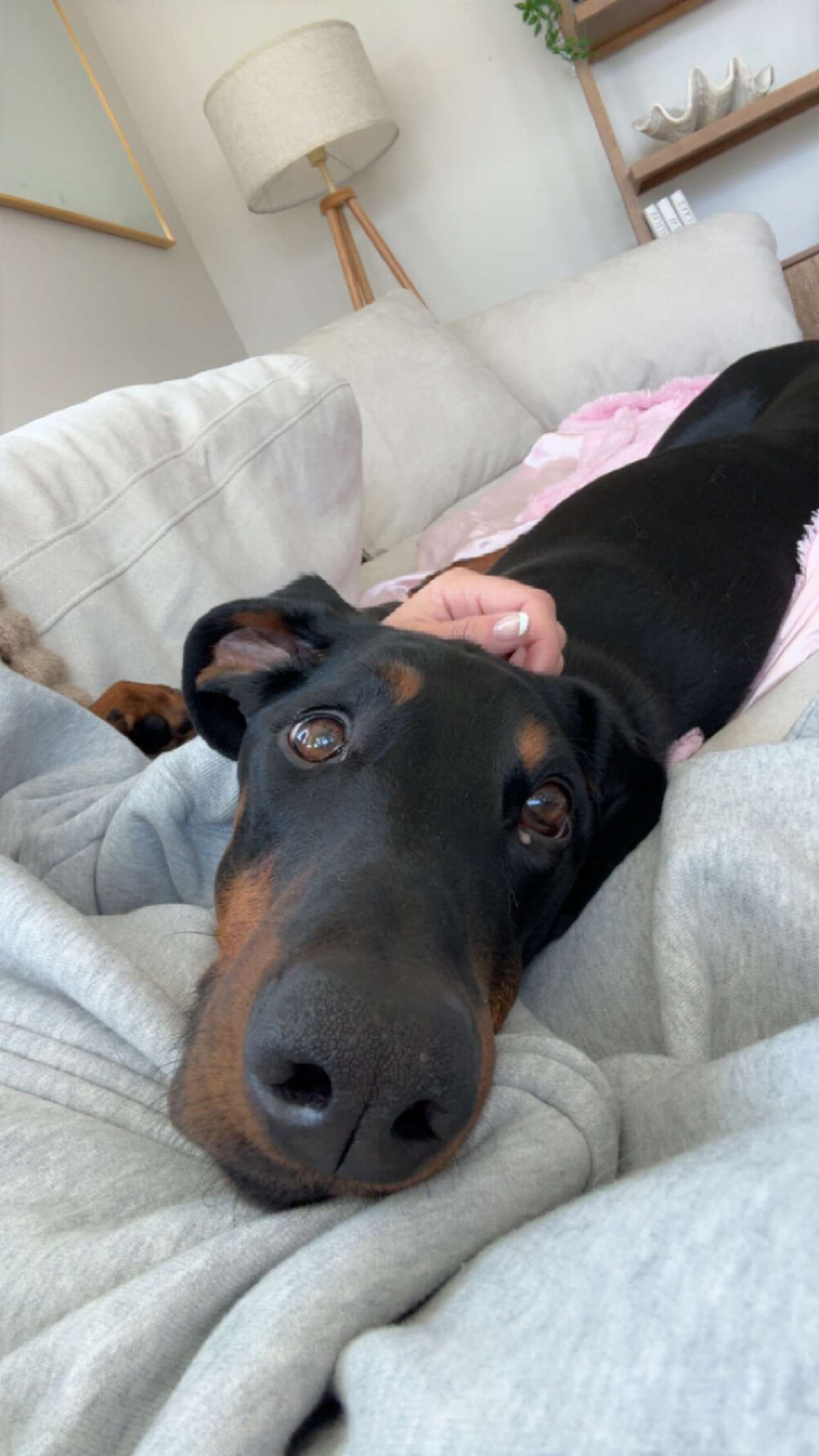 chloerosenbaum snapchat image archive image